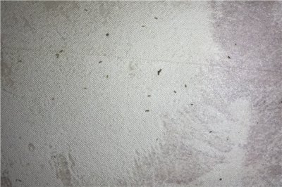 脸上有螨虫怎么办？长了痘痘怎么办？