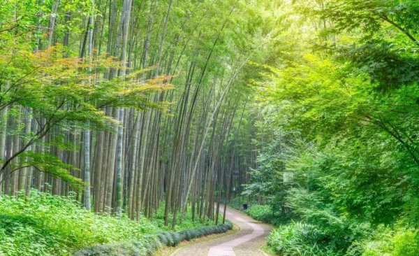 安吉必玩三大景点
