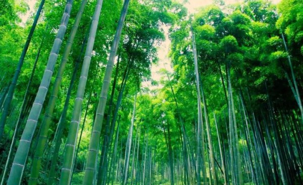安吉必玩三大景点