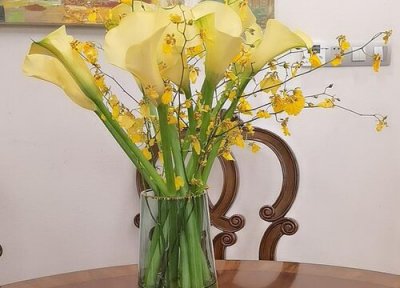 让插花花期更长 进行插花的花卉想延长花期的方法
