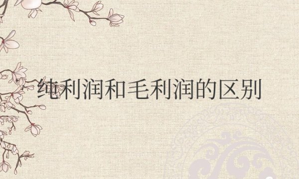 纯利润和毛利润的区别