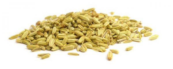 小茴香的功效与作用的功效和作用是什么