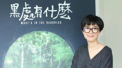 导演王一淳实名举报欢喜传媒税务虚假抵扣 欢喜传媒发声回应