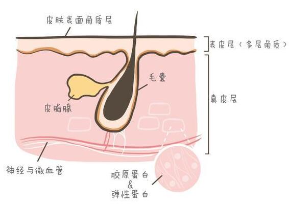 黑头是怎么形成的原因？怎么避免长黑头