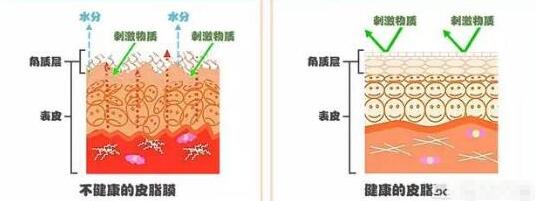 什么面霜补水保湿效果最好