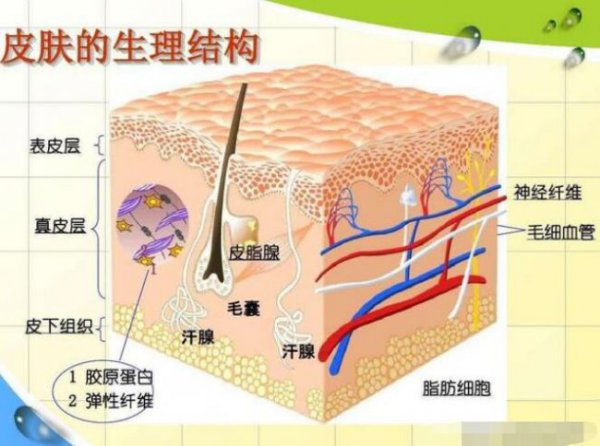 皮肤出油用什么护肤品好女生