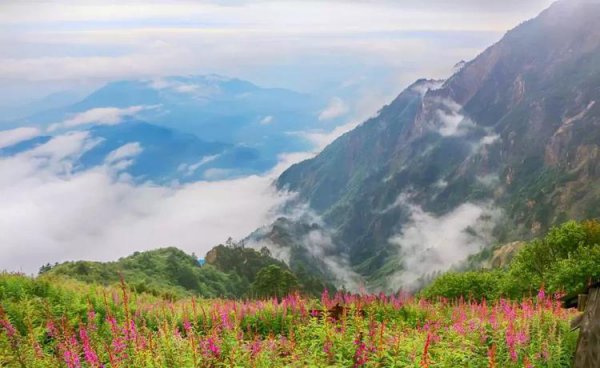 九峰山风景区在哪里