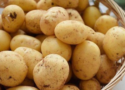 土豆保存方法 土豆怎么保存不发芽