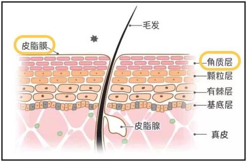 常见的护肤误区有哪些？