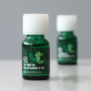 互生叶白千层茶树精油的作用 茶树精油怎用在脸上