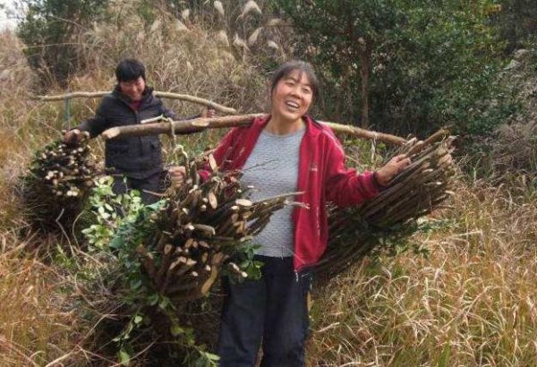 三十多岁留守的女人最怕什么