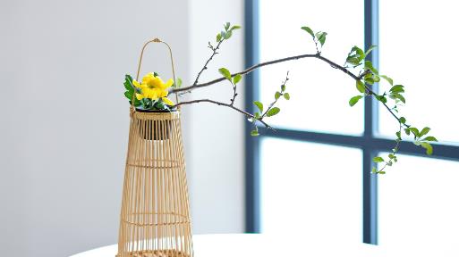 五十不盖房六十不栽树什么意思