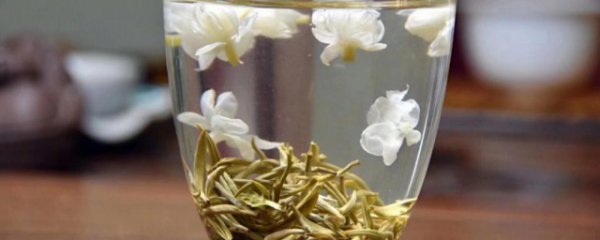 花茶和茉莉花茶有区别吗