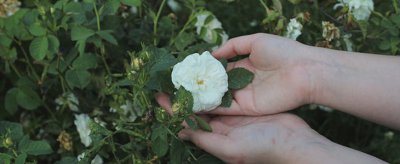 手皮肤发黄是什么原因 皮肤暗黄怎么调理