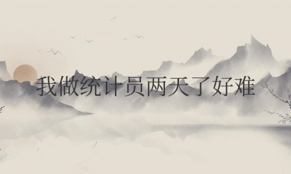 我做统计员两天了好难