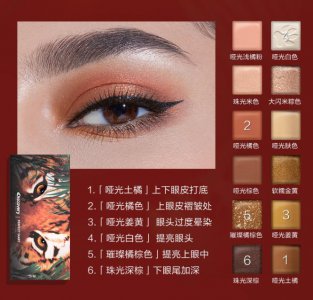 眼影怎么用 单眼皮眼影搭配及画法