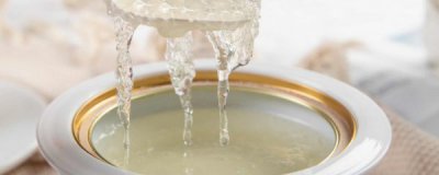 雪燕有什么功效和营养 雪燕的功效与作用百度百科