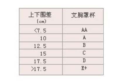 36c是文胸尺码对照表