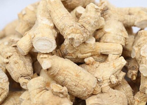 洋参的功效与作用及食用方法