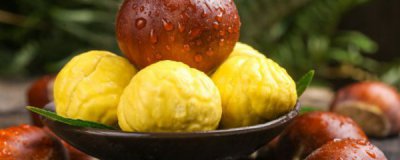 毛栗子吃多了怎么办 毛栗子能多吃吗