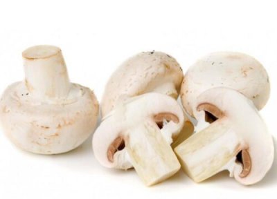 常见的蘑菇 蘑菇有哪些种类
