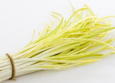 韭黄种植成本 韭黄种植成本和利润