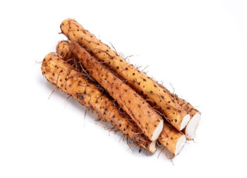 铁棍山药没熟透可以吃吗