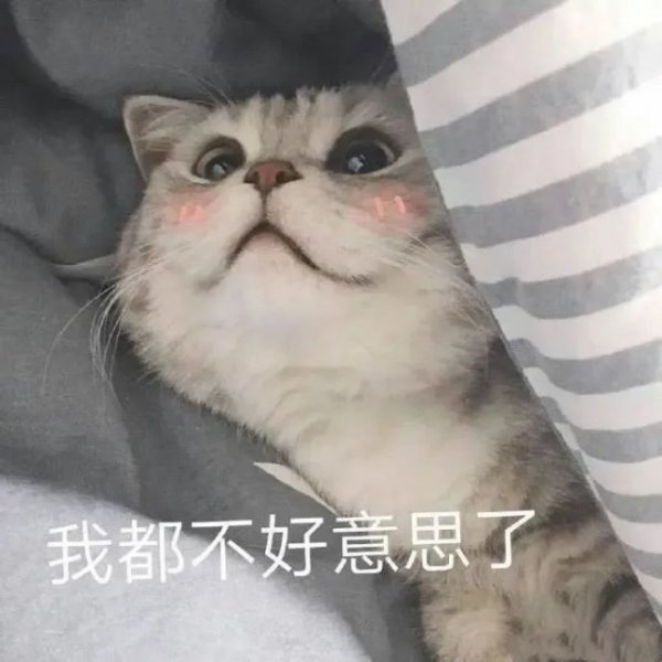 可进可退的表白方式