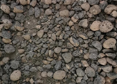 兰花养护中护盆的选择