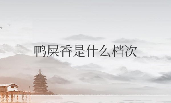 鸭屎香是什么档次的茶叶