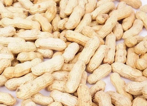 花生的品质和精神