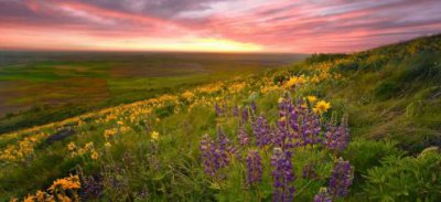 男朋友总说多喝热水什么意思 男朋友不关心自己怎么办