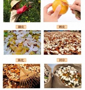 橘子皮和陈皮有啥区别 不是一个东西