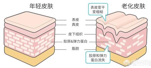 脸上皮肤松弛有什么办法恢复？