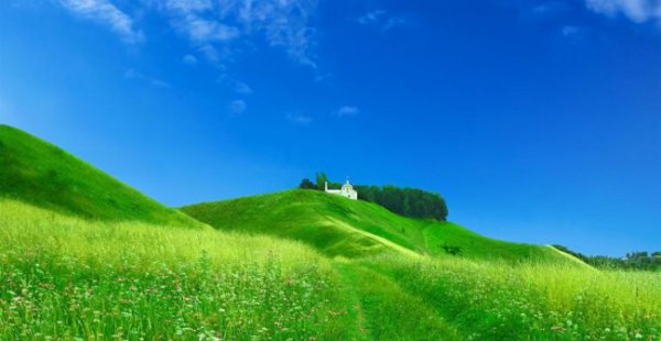 无能狂怒是什么心理