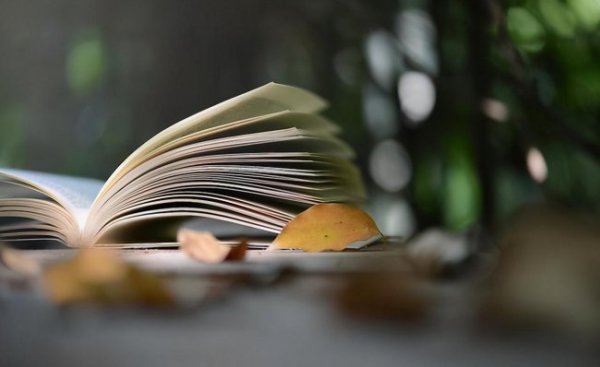 无能狂怒是什么心理