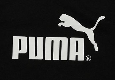 puma到底怎么读 puma读彪马还是扑马