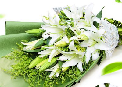 代表健康快乐的花 寓意健康快乐的花