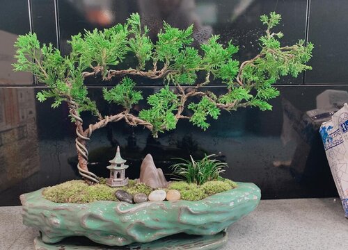 松柏代表什么象征意义