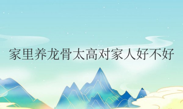家里养龙骨太高对家人好不好