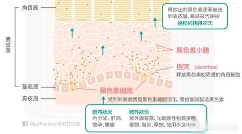 如何快速有效美白窍门和方法