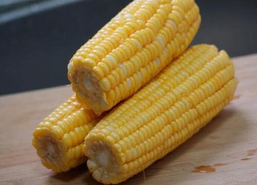 玉米没熟透可以吃吗