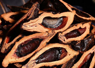 一天吃多少 槟榔一天吃几个最好