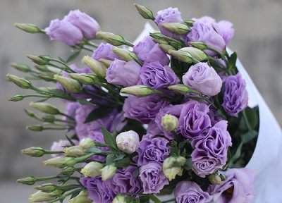 桔梗花有毒吗 桔梗花是否有毒