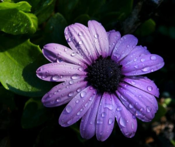 爱到极致是互相折磨吗