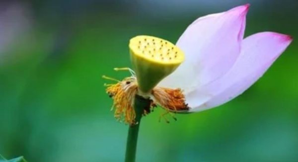 人生迷茫的时候该怎么办