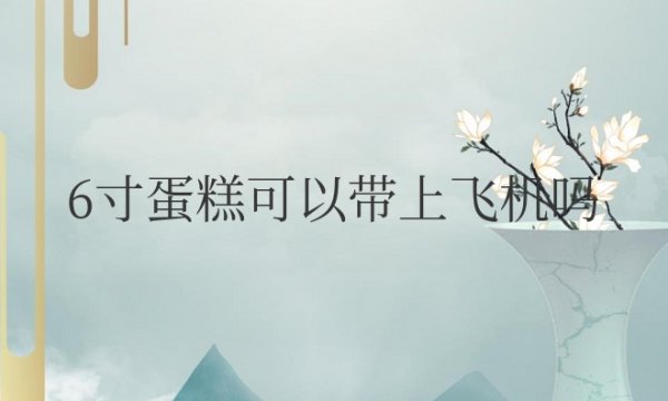 6寸蛋糕可以带上飞机吗