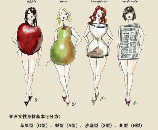 女人的身材分哪几种？