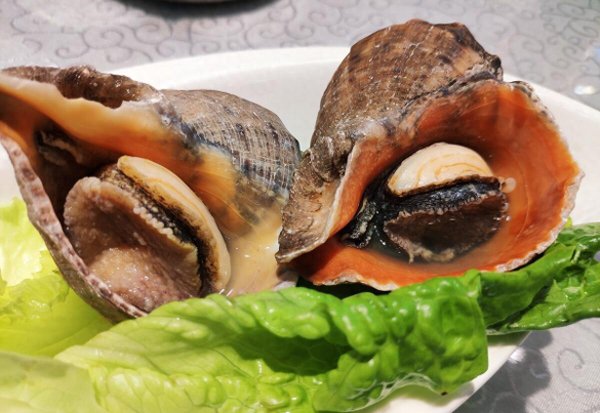 海螺冷水下锅煮多少分钟才能熟透