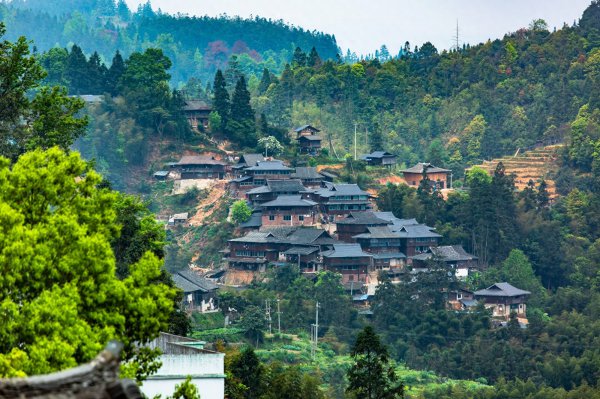 贵州岜沙苗寨在哪里